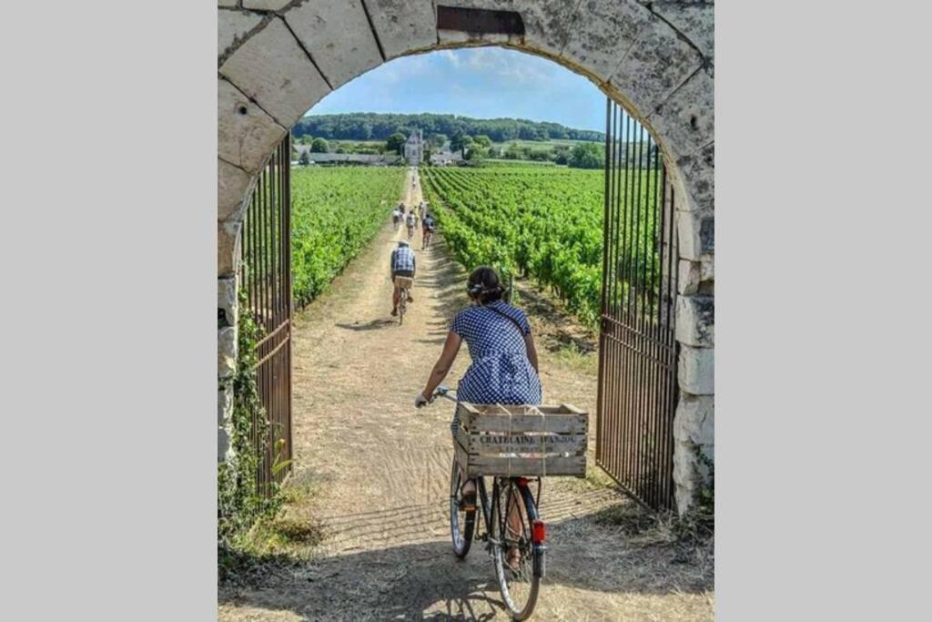 L'Escapade : Maison Centre-Ville Avec Cour Saumur Bagian luar foto